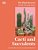 Cacti And Succulents: On-Point Advice To Keep Your Plants Looking Sharp-.. - Imagem 1