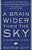 A Brain Wider Than The Sky: A Migraine Diary-.. - Imagem 1