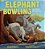 Elephant Bowling And Other Animal Play-.. - Imagem 1
