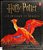Harry Potter: A History Of Magic (American Edition)-.. - Imagem 1