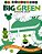 Ed Emberley's Big Green Drawing Book-.. - Imagem 1