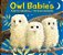 Owl Babies Oversized Board Book-.. - Imagem 1