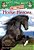 Horse Heroes: A Nonfiction Companion To Magic Tree House Merlin Mission #21: Stallion By Starlight-.. - Imagem 1