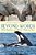 Beyond Words: What Elephants And Whales Think And Feel (A Young Reader's Adaptation)-.. - Imagem 1
