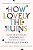 How Lovely The Ruins: Inspirational Poems And Words For Difficult Times-.. - Imagem 1