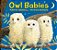 Owl Babies-.. - Imagem 1