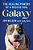 Galaxy: The Healing Powers Of A Rescue Dog-.. - Imagem 1