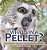 What's In A Pellet? Owl Digestive System And Dissecting Owl Pellets Grade 6-8 Life Science-.. - Imagem 1