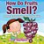 How Do Fruits Smell? Sense & Sensation Books For Kids-.. - Imagem 1