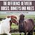 The Difference Between Horses, Donkeys And Mules Children's Science & Nature-.. - Imagem 1