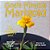 God's Miracle Marigold-.. - Imagem 1