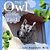The Owl In The Yard-.. - Imagem 1