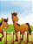 Caballos Libro Para Colorear 3-.. - Imagem 1