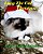 Lucy The Cat Christmas-.. - Imagem 1