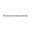 The Exercises Of Saint Gertrude: Virgin And Abbess Of The Order Of St. Benedict-.. - Imagem 1