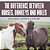 The Difference Between Horses, Donkeys And Mules Children's Science & Nature-.. - Imagem 1