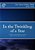 In The Twinkling Of A Star: A Collection Of Poetry For The Oes-.. - Imagem 1