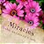 Miracles: Bilingual Edition - English & Bulgarian-.. - Imagem 1