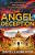 The Angel Deception-.. - Imagem 1