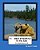Albert And Snuffy Go To The Lake: It's Another Bear's Tale-.. - Imagem 1