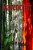 Ravencraft: And The Elixir Of Life-.. - Imagem 1