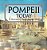 Pompeii Today: A Museum Of People Buried Alive - Archaeology Quick Guide Children's Archaeology Books-.. - Imagem 1