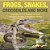 Frogs, Snakes, Crocodiles And More Amphibians And Reptiles For Kids Children's Reptile & Amphibian Books-.. - Imagem 1