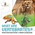 What Are Vertebrates? Animal Science Book Grade 3 Children's Zoology Books-.. - Imagem 1