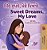 Sweet Dreams, My Love (Punjabi English Bilingual Children's Book - Gurmukhi)-.. - Imagem 1