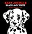 Baby Animals: Black And White-.. - Imagem 1