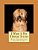 I Want A Pet Tibetan Terrier: Fun Learning Activities-.. - Imagem 1