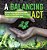 A Balancing Act Dynamic Nature And Her Ecosystems Ecology For Kids Science Kids 3RD Grade Children's Environment Books-.. - Imagem 1