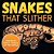 Snakes That Slither: Fun Facts About Snakes Of The World-.. - Imagem 1