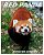 Red Panda: Learn About Red Pandas-Amazing Pictures & Fun Facts-.. - Imagem 1