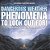 Dangerous Weather Phenomena To Look Out For! - Nature Books For Kids Children's Nature Books-.. - Imagem 1