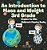 An Introduction To Mass And Weight 3RD Grade: Physics For Kids Children's Physics Books-.. - Imagem 1