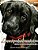 Lovely Labradors Dog Coloring Book - Dogs Coloring Pages For Kids & Adults-.. - Imagem 1