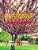 Samskritdvitiyakam: Sanskrit 2ND Level Book-.. - Imagem 1