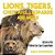 Lions, Tigers, Cheetahs, Leopards And More Big Cats For Kids Children's Lion, Tiger & Leopard Books-.. - Imagem 1
