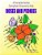 Roses And Peonies: All Time Garden Favorites: Coloring Book For Enjoyment By Adults-.. - Imagem 1