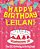 Happy Birthday Leilani - The Big Birthday Activity Book: (Personalized Children's Activity Book)-.. - Imagem 1