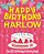 Happy Birthday Harlow - The Big Birthday Activity Book: Personalized Children's Activity Book-.. - Imagem 1