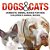 Dogs And Cats: Domestic Animal Books For Kids Children's Animal Books-.. - Imagem 1