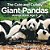 The Cute And Cuddly Giant Pandas - Animal Book Age 5 Children's Animal Books-.. - Imagem 1