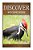Woodpeckers - Discover: Early Reader's Wildlife Photography Book-.. - Imagem 1