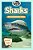Sharks: Amazing Pictures & Fun Facts-.. - Imagem 1