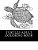 Turtles Adult Coloring Book: 25 Beautiful Turtle Coloring Designs For Men, Women And Teens To Relax-.. - Imagem 1