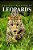 Leopards - Curious Kids Press-.. - Imagem 1