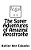 The Super Adventures Of Amazing Apostrophe-.. - Imagem 1