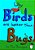 Why Birds Are Better Than Bugs-.. - Imagem 1